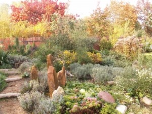 Naturalna ścieżka zachęcająca do spaceru